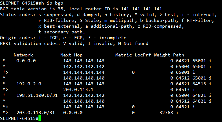 SLIPNET show ip bgp